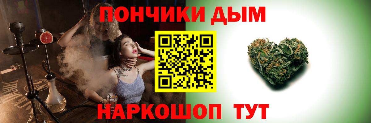 Конопля сатива Майский
